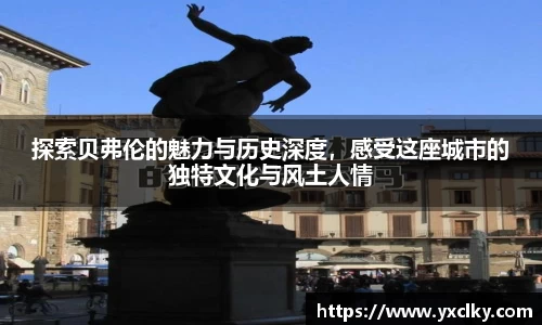 探索贝弗伦的魅力与历史深度，感受这座城市的独特文化与风土人情
